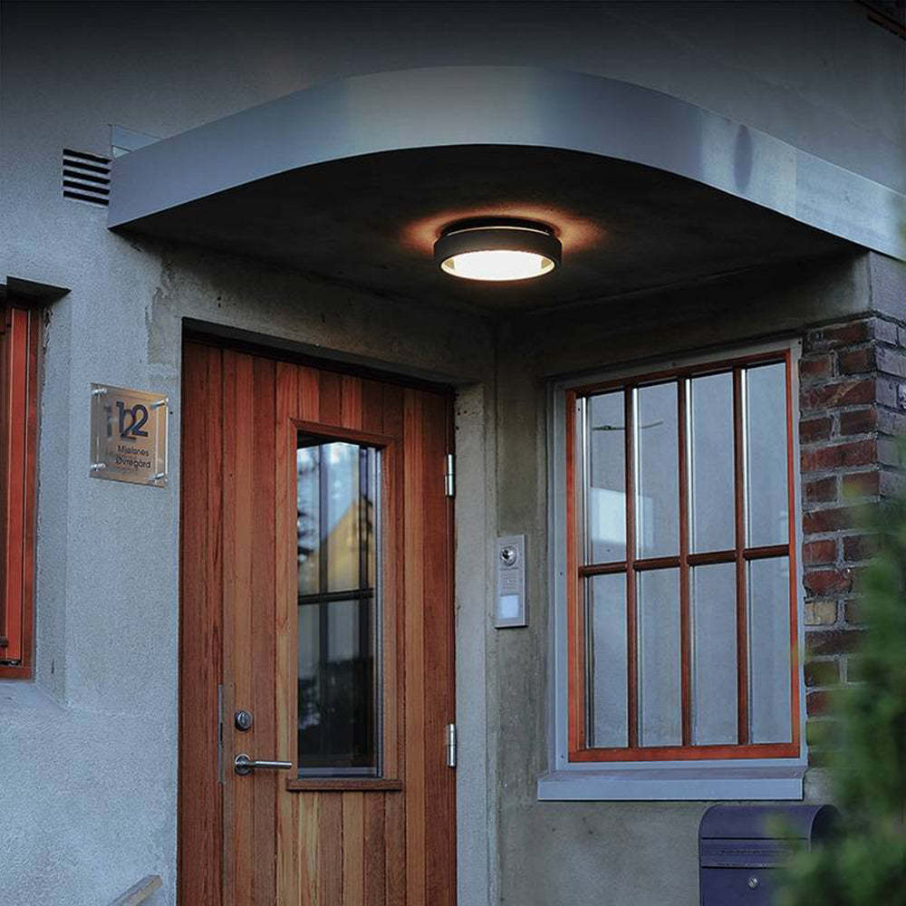 Outdoor Wall Lamp/ Flush Mount Ceiling Light