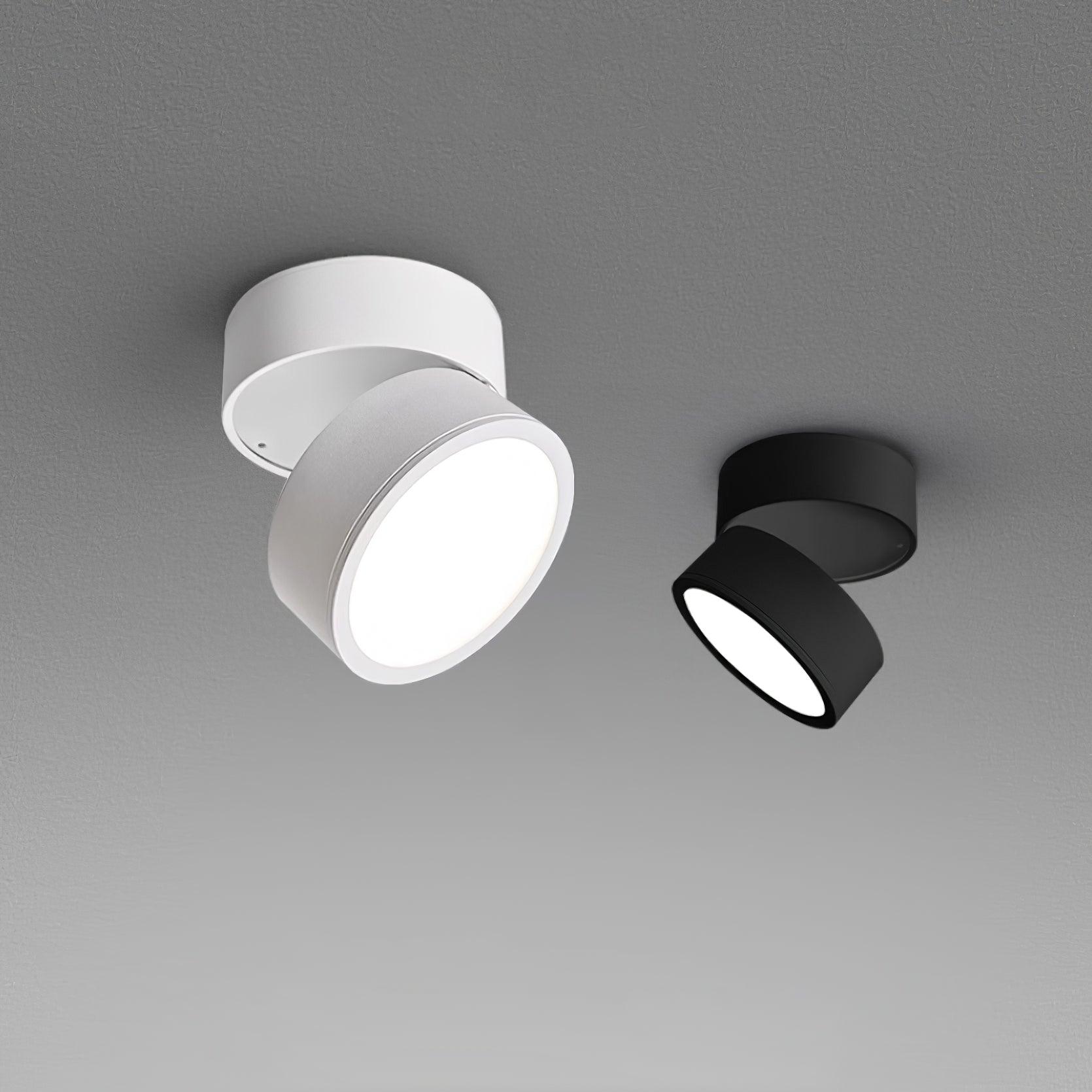 Favilla Surface Ceiling Lamp