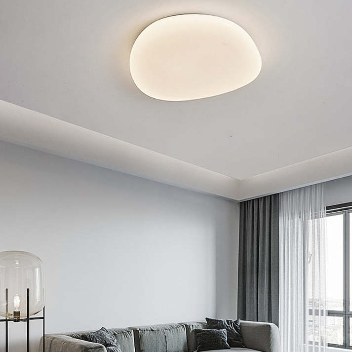Flush Mount Ceiling Light
