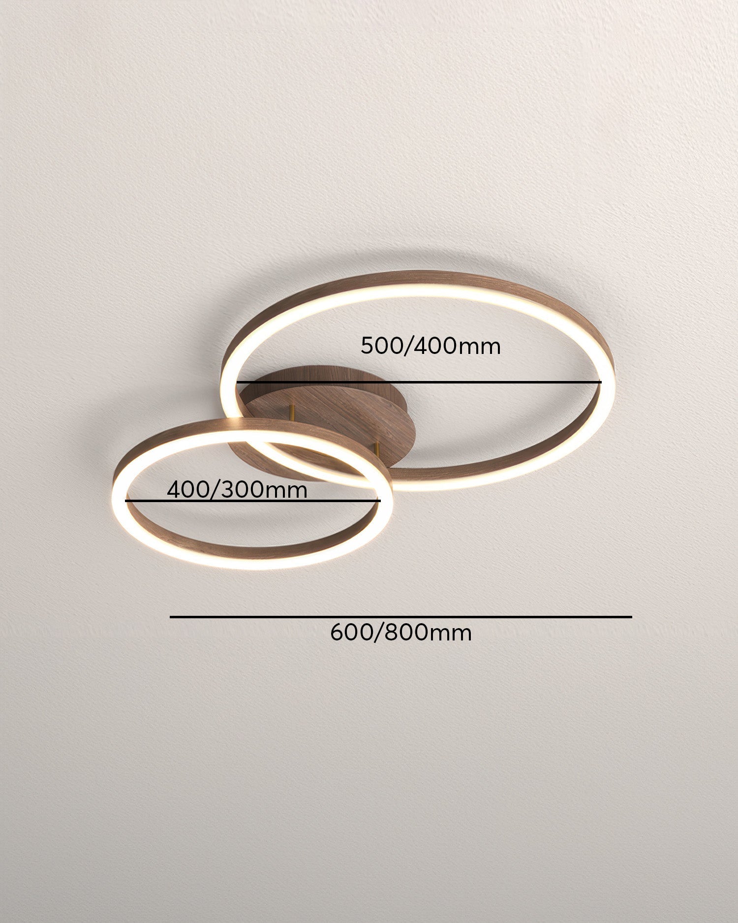 Elegant Ring Ceiling Luminaire