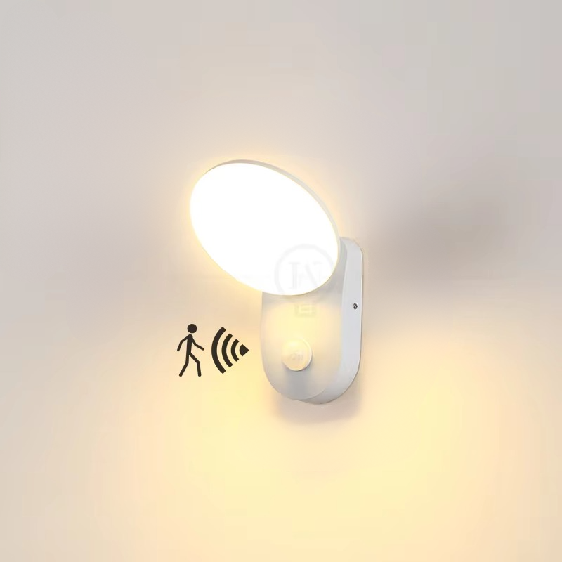 Motion Sensor LED Wall Light